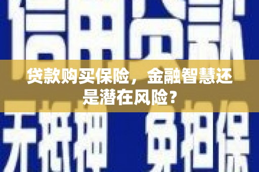 西峡贷款购买保险，金融智慧还是潜在风险？