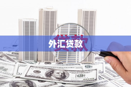 西峡外汇贷款