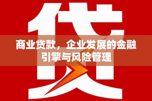 西峡商业贷款，企业发展的金融引擎与风险管理