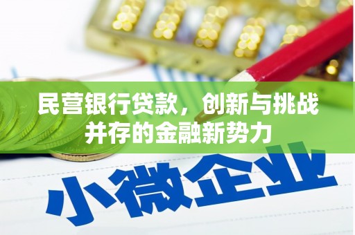 西峡民营银行贷款，创新与挑战并存的金融新势力