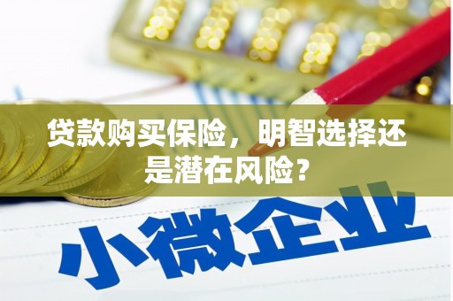 西峡贷款购买保险，明智选择还是潜在风险？
