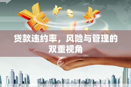西峡贷款违约率，风险与管理的双重视角