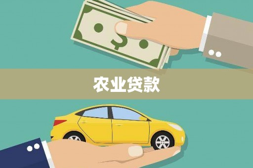 西峡农业贷款