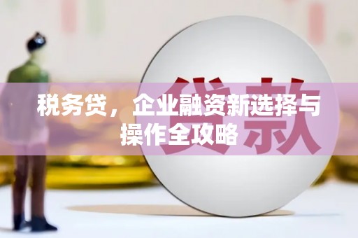 西峡税务贷，企业融资新选择与操作全攻略