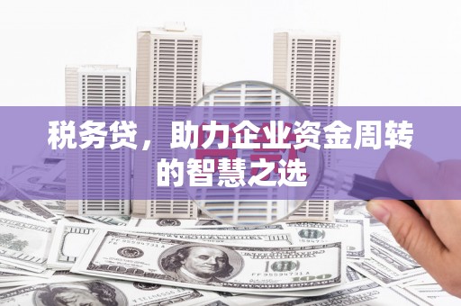 西峡税务贷，助力企业资金周转的智慧之选