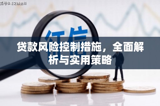 西峡贷款风险控制措施，全面解析与实用策略