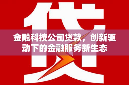 西峡金融科技公司贷款，创新驱动下的金融服务新生态