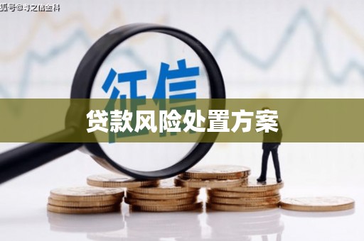西峡贷款风险处置方案