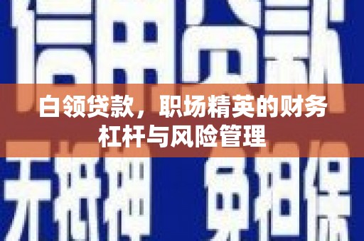 西峡白领贷款，职场精英的财务杠杆与风险管理