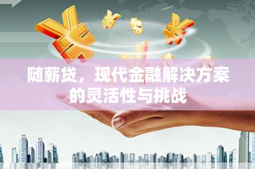 西峡随薪贷，现代金融解决方案的灵活性与挑战