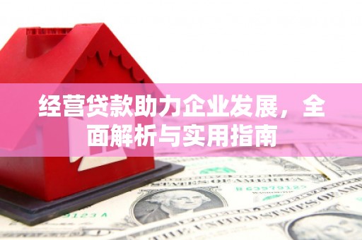西峡经营贷款助力企业发展，全面解析与实用指南