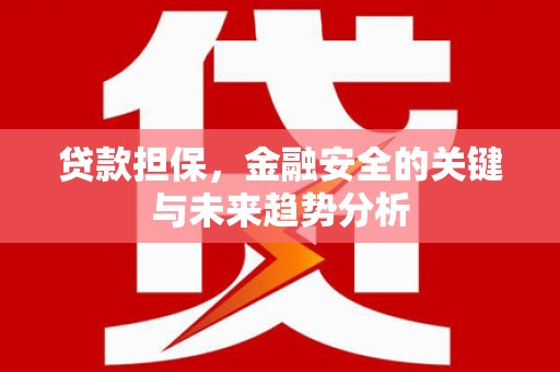 西峡贷款担保，金融安全的关键与未来趋势分析