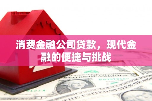 西峡消费金融公司贷款，现代金融的便捷与挑战