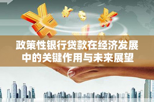 西峡政策性银行贷款在经济发展中的关键作用与未来展望