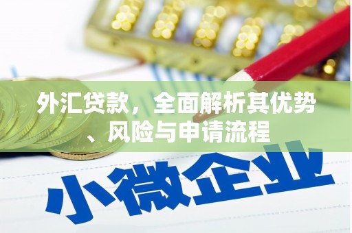 西峡外汇贷款，全面解析其优势、风险与申请流程