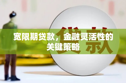 西峡宽限期贷款，金融灵活性的关键策略