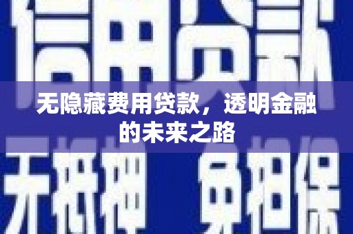 西峡无隐藏费用贷款，透明金融的未来之路