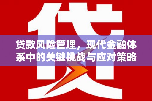 西峡贷款风险管理，现代金融体系中的关键挑战与应对策略
