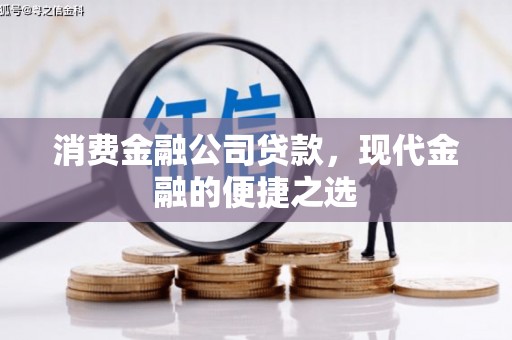 西峡消费金融公司贷款，现代金融的便捷之选