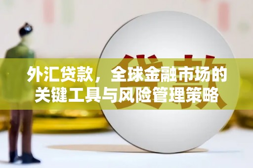 西峡外汇贷款，全球金融市场的关键工具与风险管理策略