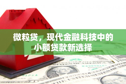 西峡微粒贷，现代金融科技中的小额贷款新选择