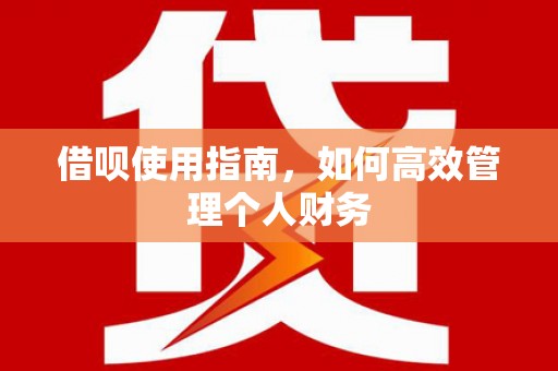 西峡借呗使用指南，如何高效管理个人财务
