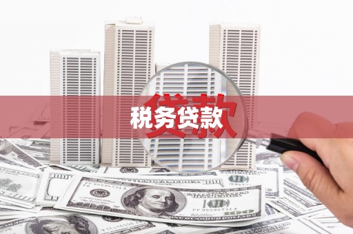 西峡税务贷款