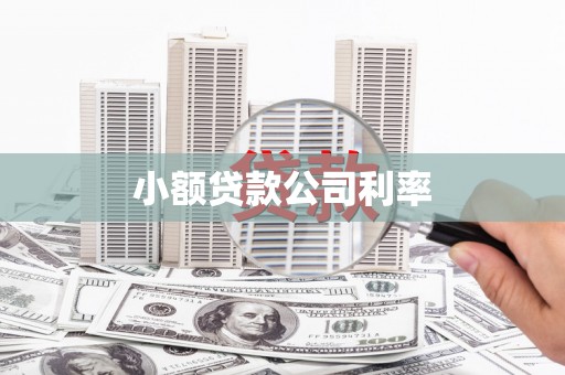 西峡小额贷款公司利率