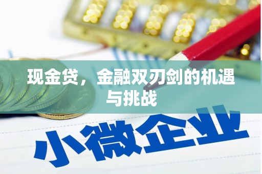 西峡现金贷，金融双刃剑的机遇与挑战