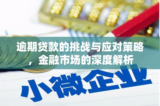 西峡逾期贷款的挑战与应对策略，金融市场的深度解析