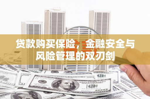 西峡贷款购买保险，金融安全与风险管理的双刃剑