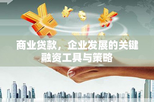 西峡商业贷款，企业发展的关键融资工具与策略