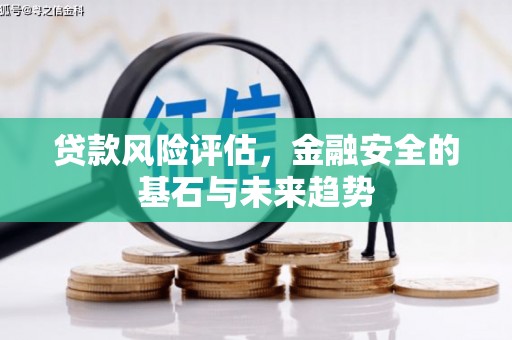 西峡贷款风险评估，金融安全的基石与未来趋势