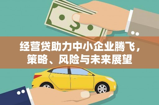 西峡经营贷助力中小企业腾飞，策略、风险与未来展望