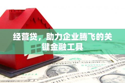 西峡经营贷，助力企业腾飞的关键金融工具