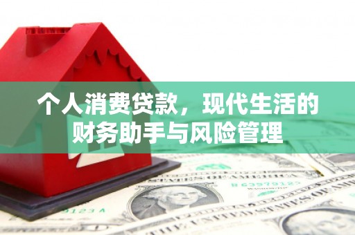 西峡个人消费贷款，现代生活的财务助手与风险管理
