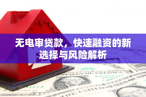 西峡无电审贷款，快速融资的新选择与风险解析