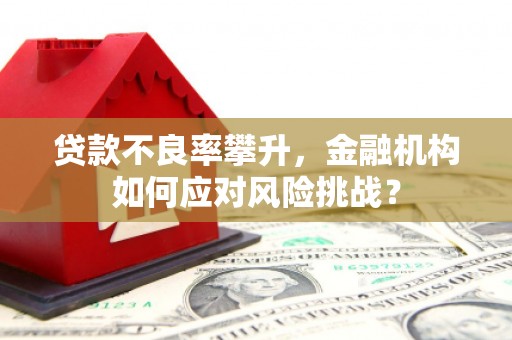 西峡贷款不良率攀升，金融机构如何应对风险挑战？