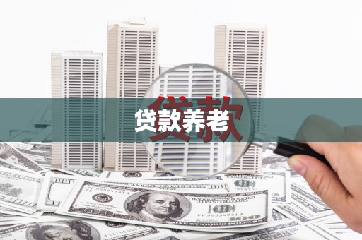 西峡贷款养老