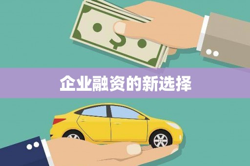 西峡企业融资的新选择