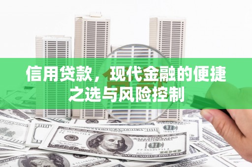 西峡信用贷款，现代金融的便捷之选与风险控制