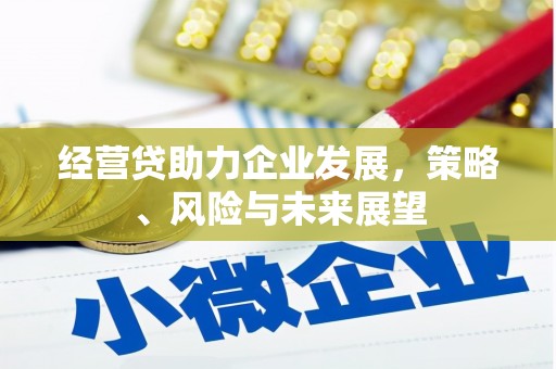 西峡经营贷助力企业发展，策略、风险与未来展望