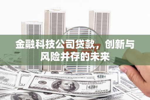 西峡金融科技公司贷款，创新与风险并存的未来