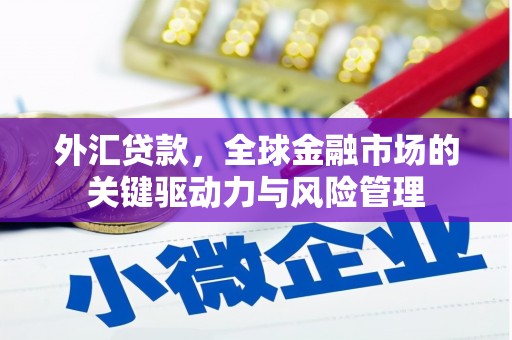 西峡外汇贷款，全球金融市场的关键驱动力与风险管理