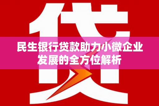 西峡民生银行贷款助力小微企业发展的全方位解析
