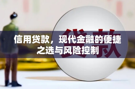 西峡信用贷款，现代金融的便捷之选与风险控制
