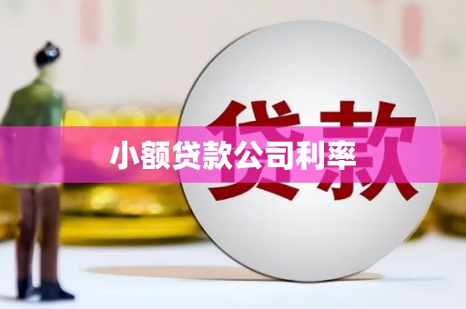西峡小额贷款公司利率