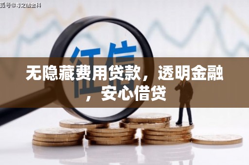西峡无隐藏费用贷款，透明金融，安心借贷