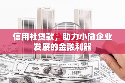 西峡信用社贷款，助力小微企业发展的金融利器