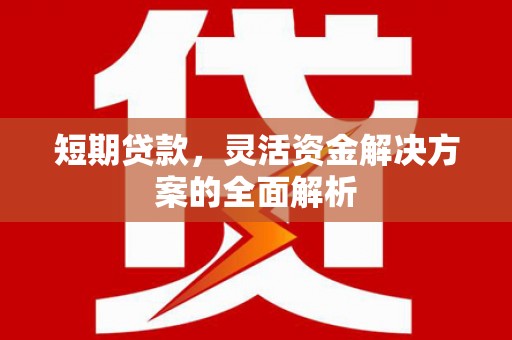 西峡短期贷款，灵活资金解决方案的全面解析